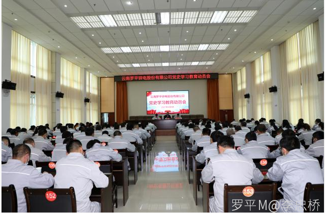 赢博手机在线登入,赢博(中国)召开党史学习教育动员会